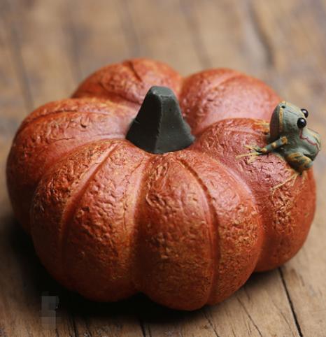 小南瓜 商品图0