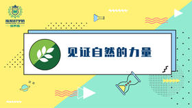 见证自然的力量