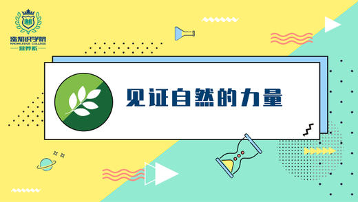 见证自然的力量 商品图0