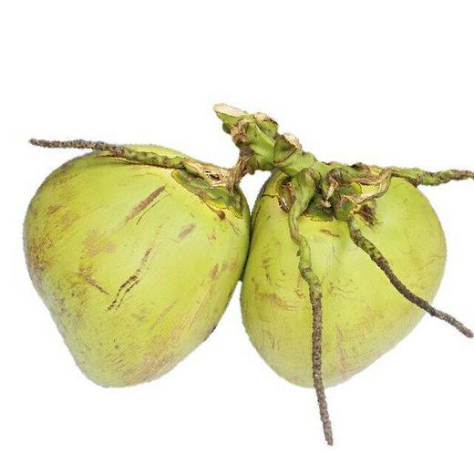 【2颗|现摘新鲜】海南新鲜带皮椰子2颗(重约 6—8斤)【当天提货】 商品图7