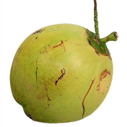 【2颗|现摘新鲜】海南新鲜带皮椰子2颗(重约 6—8斤)【当天提货】 商品图6