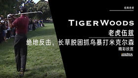 老虎伍兹绝地反击，长草脱困抓鸟暴打米克尔森