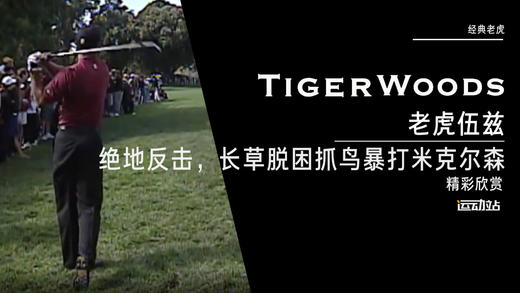 老虎伍兹绝地反击，长草脱困抓鸟暴打米克尔森 商品图0