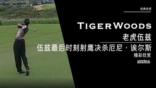 经典老虎｜伍兹最后时刻射鹰决杀厄尼·诶尔斯 商品图0