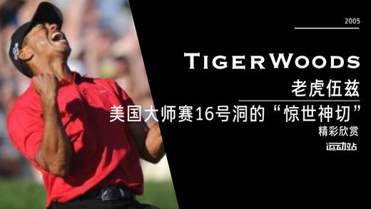 经典老虎｜伍兹2005美国大师赛16号洞的“惊世神切” 商品图0