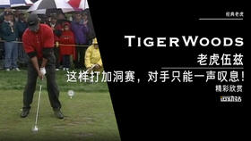 经典老虎｜这样打加洞赛，对手只能一声叹息！