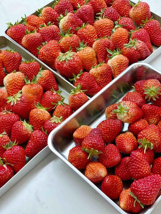 韩国草莓冰奶，可快递 商品图5