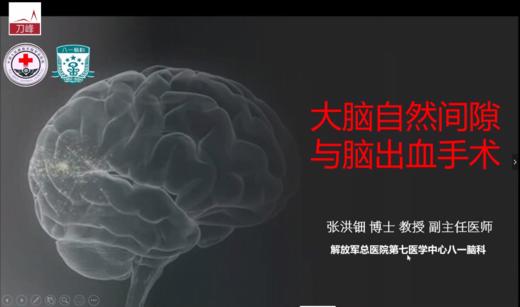 张洪钿教授——刀峰脑出血一期课程 商品图0