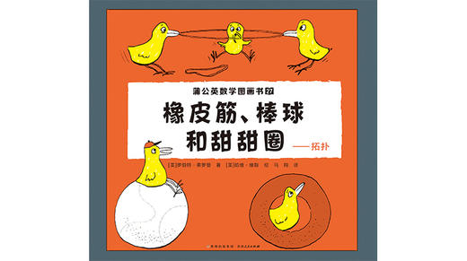 27-橡皮筋、棒球和甜甜圈——拓扑 商品图0