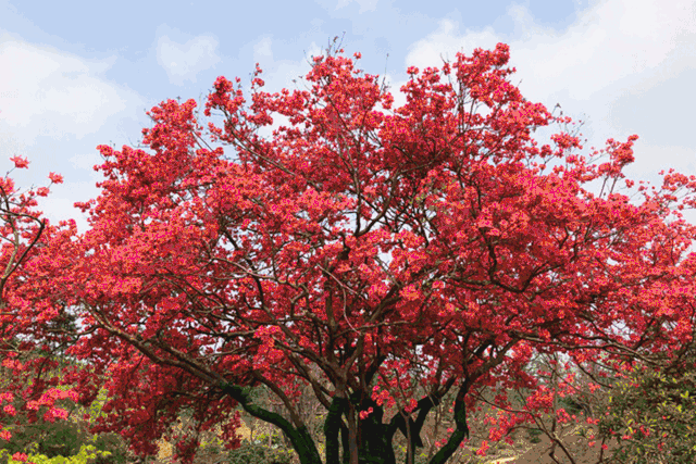 640_427gif 动态图 动图