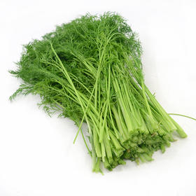 物本源有机茴香