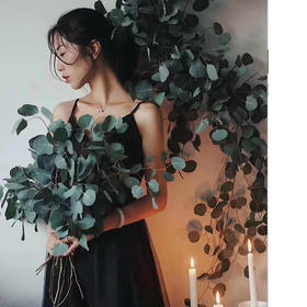 【周四团购】圆叶尤加利叶一把/29.8元 2人拼团