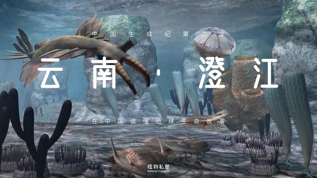 【中国生命纪 | 云南·澄江】第一期