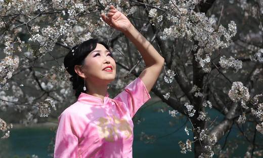 旗袍常用道具-折扇小组合-1 商品图0