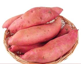 红薯   500g/份