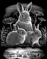 【温莎牛顿】RVS迷你银色礼品刮画 商品图0