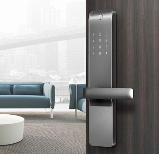 智家人智能锁指纹锁门锁 防盗门木门适用家用电子门锁DS05涂鸦app 商品图0