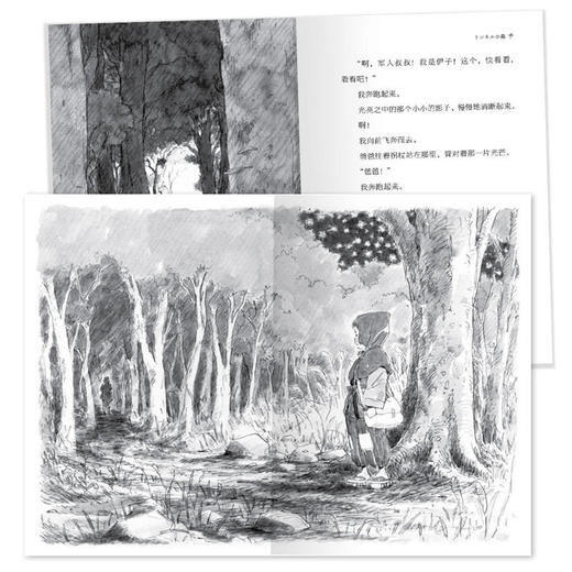 知更鸟·大奖大师书系：隧道的森林 商品图3