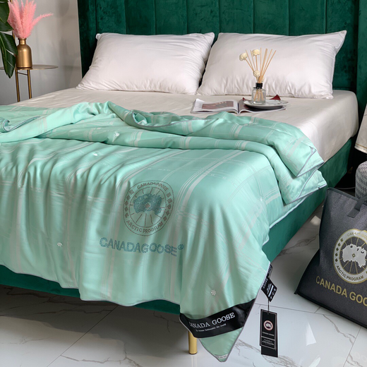 加拿大鹅夏凉蚕丝被