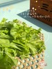绿生菜  250g 商品缩略图0