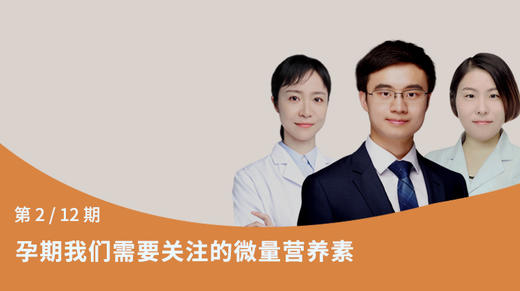 第2节：孕期我们需要关注的微量营养素 商品图0