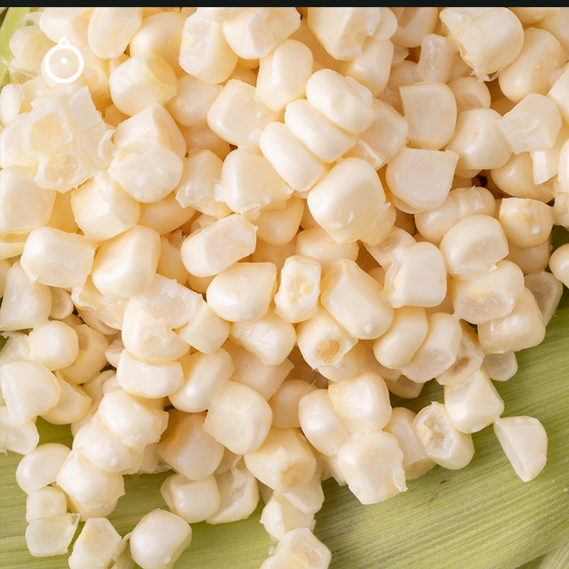 顺丰包邮 | 福建爆浆牛奶冰糖玉米6根装 生食水果玉米新鲜甜苞谷粗粮