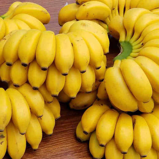 贵州安龙糯米蕉新鲜皮薄色泽金黄软糯香甜入口即化