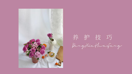 7种常见花材养护技巧 商品图0