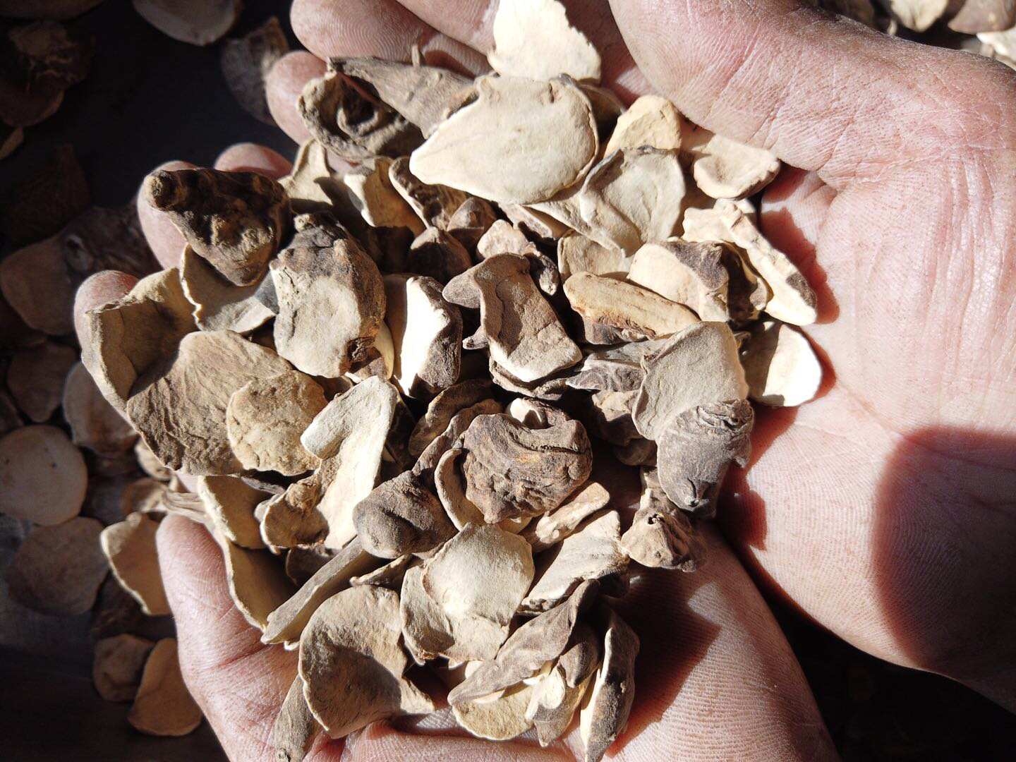 仙蒙 包邮道地 江油炮附片小片 炮附子小片1000克