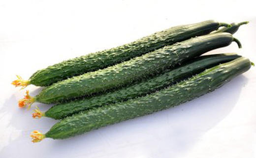 黄瓜/约3斤 - 陕西麦谷鲜生精品生活超市