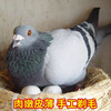 商品缩略图