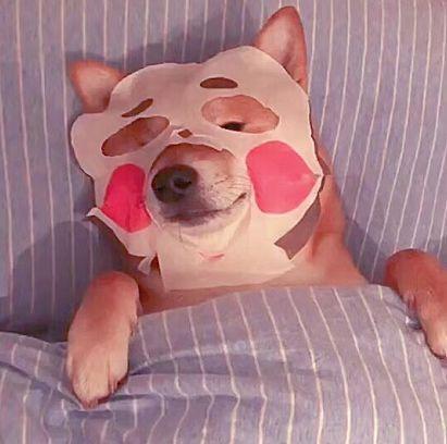 童话面膜 | 边吃饭边敷面膜的技能你get了吗？ 商品图0