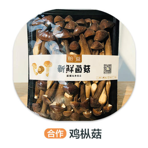鸡枞菇（±25g）/份 商品图0