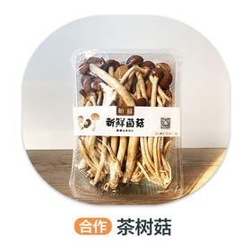 茶树菇（严选）±40g