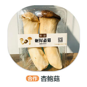 杏鲍菇大（合作）（±30g/份）