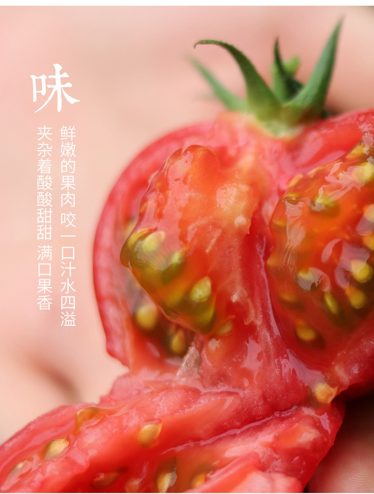 普罗旺斯 西红柿 500g