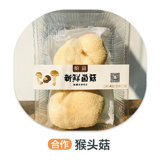 猴头菇（严选）（±20g）份 商品图0