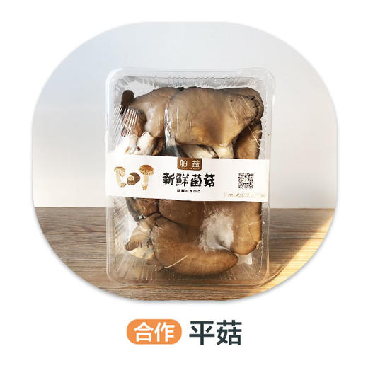 鲜养平蘑（严选）（±35g）份 商品图0
