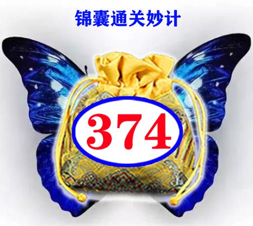 374号锦囊通关妙计   《小小手》生字及组词 商品图0