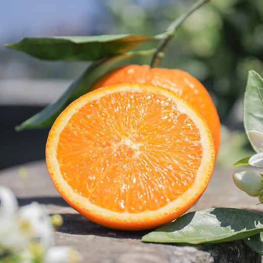 【湖北秭归伦晚春橙】伦晚帝王橙 春橙现摘现发 自家果园橙子 不打蜡  4.5斤装 商品图2