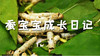 蚕宝宝成长日记二 商品缩略图0