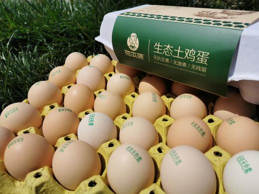 物本源精选无抗鸡蛋40枚装 商品图0