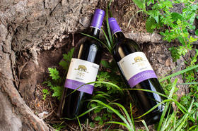 酒标上的酒精度说明了什么?