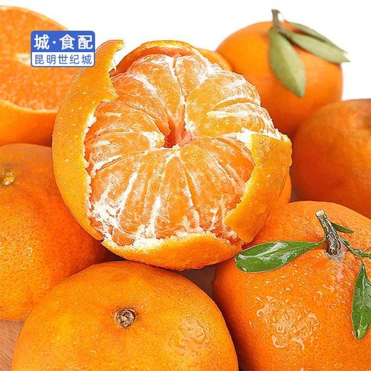 【KM】沃柑 约1000g 商品图0