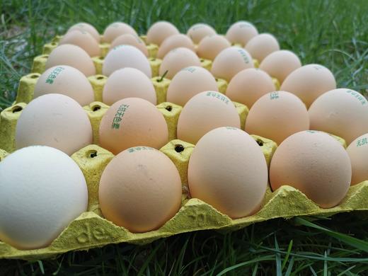 物本源精选无抗鸡蛋40枚装 商品图4