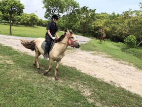 【骑马、烧烤、骑行、踏青】4月25日海滨森林公园春游活动报名入口