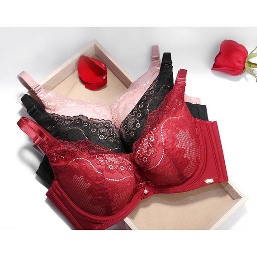 皇家丽美轻软透气纯色蕾丝小胸聚拢文胸记忆钛圈WJ905-3 商品图4