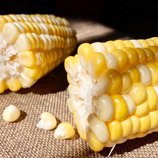 【生态果蔬】云南水果玉米 鲜嫩脆甜 营养丰富 现摘现发 每一粒都是大