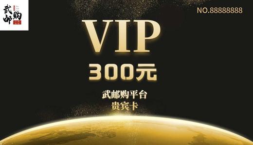 300元礼品卡 商品图0