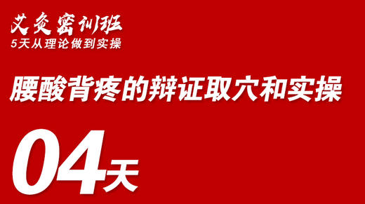 04腰酸背疼的辩证取穴和实操 商品图0